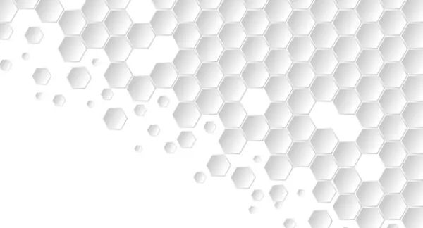 Abstrakt Geometrisk Form Hexagon Bakgrund Vit Och Grå Honung Geometrisk — Stock vektor