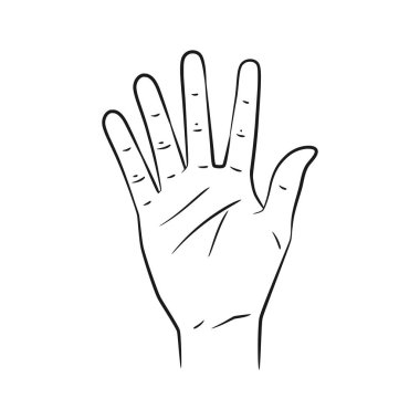 Vector line art hand gestures showing numbers 5. Ideal for educational, counting, or creative projects. Clean design, isolated on white. clipart