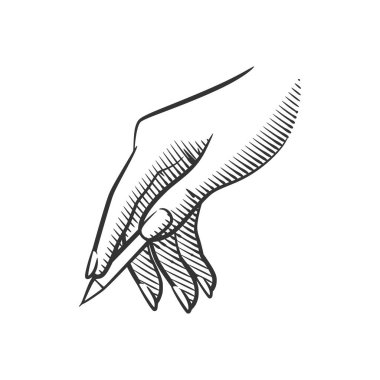 Kalem tutan bir elin vektör çizgisi sanatı. Eğitim, yaratıcılık ya da yazarlık konulu projeler için mükemmel. Minimalist ve beyaz arkaplanda izole.