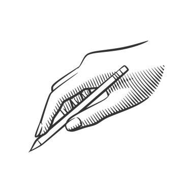 Kalem tutan bir elin vektör çizgisi sanatı. Eğitim, yaratıcılık ya da yazarlık konulu projeler için mükemmel. Minimalist ve beyaz arkaplanda izole.