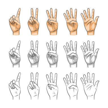 Üç stilde birden beşe kadar sayıların yer aldığı el hareketi örnekleri: temiz çizgi sanatı, gölgeli çizgi sanatı ve tamamen renkli versiyonlar. Tasarım projeleri, eğitim materyalleri ve dijital içerik için mükemmel.