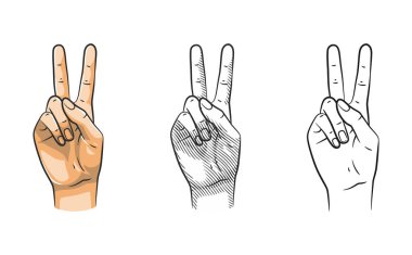 İki numaralı jesti üç şekilde gösteren el çizimleri: temiz çizgi sanatı, gölgeli çizgi sanatı ve tamamen renkli..