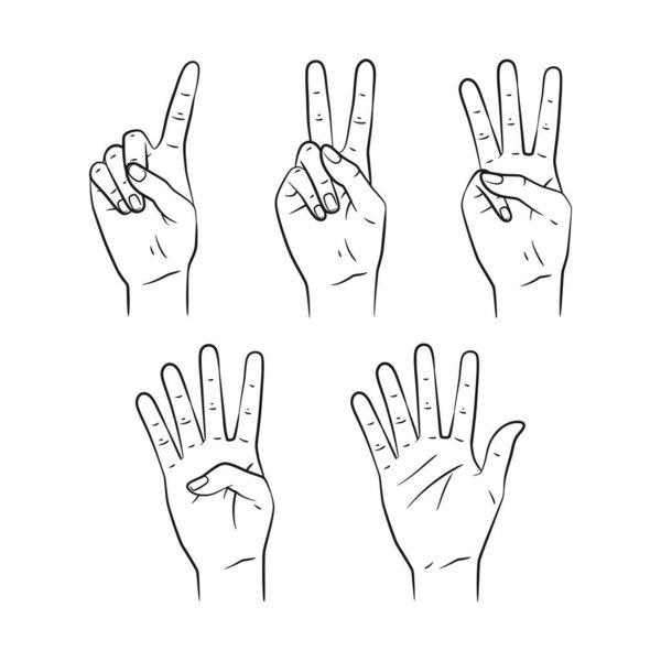 Минималистский набор художественных иллюстраций, показывающих жесты для цифр от 1 до 5. Идеально подходит для учебных материалов, мероприятий по подсчету голосов, постов в социальных сетях и творческих проектов.