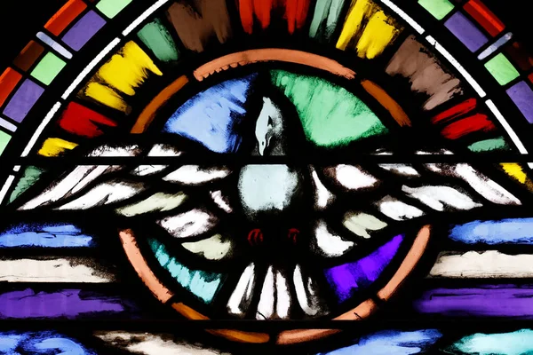 ペンテコステ 五旬節の鳩 聖霊を表す 聖ヨセフ教会 ステンドグラスの窓 ジュネーヴ スイス — ストック写真