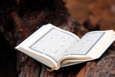 Open Quran. Symbol of Islam. 