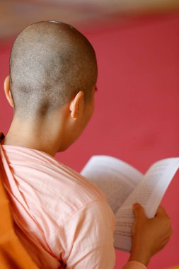 Rahibe pagoda 'da bir Budist kitabı okuyor. Hoi An. Vietnam. 