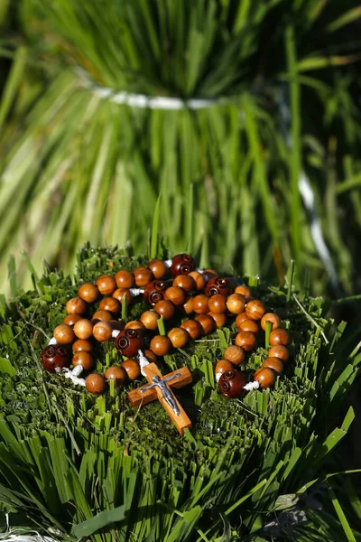 Catholic prayer beads on a stalk of rice ready to be planted in a paddy field.  Kep. Cambodia.
