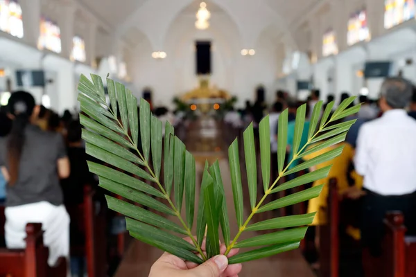 Palm sunday mass.  The palm branch is associated with Jesus\' Triumphal Entry.  Hoi An Cathedral.  Vietnam.