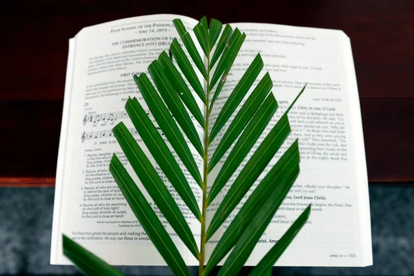 Palm sunday mass.  The palm branch is associated with Jesus\' Triumphal Entry.  Hoi An Cathedral.  Vietnam.