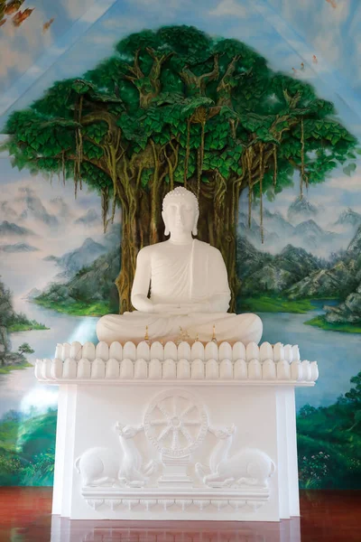 Buddha Som Sitter Meditationen Poserar Bodhiträd Staty Thien Lam Buddisttempel — Stockfoto
