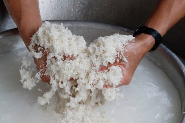 Manastır manastırı. Ca 'mın Hanımefendisi. Monk mutfakta çalışıyor. Pirinç. Vietnam. 