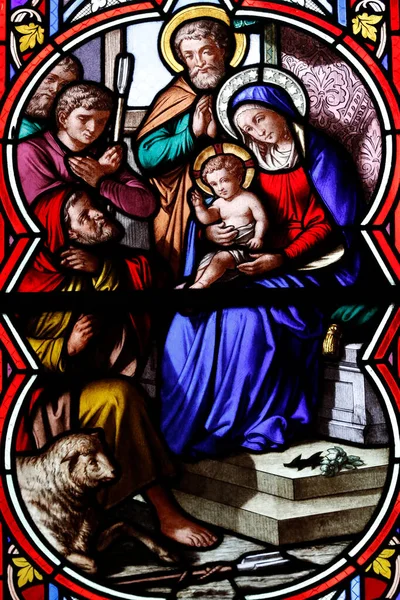 Chambery Cathedral Stained Glass Window Nativity Adoration Shepherds France — Stock Photo, Image