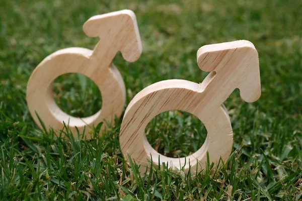 Male Gender Symbols Gay Symbol — Stock Photo, Image
