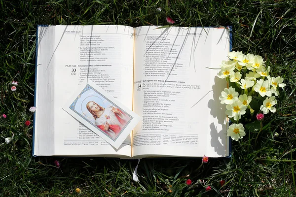 stock image Open bible on the grass with yellow flowers. The psalms. Springtime. 