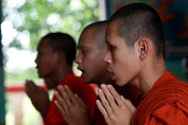 Budist manastırında dua eden keşişler. Kep. Kamboçya. 