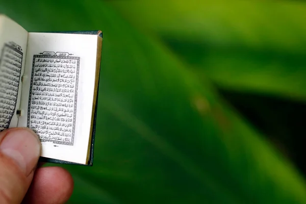 Man Reading Mini Quran — стокове фото