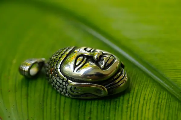 Medalhão Prata Buda Uma Licença Verde Kep Camboja — Fotografia de Stock