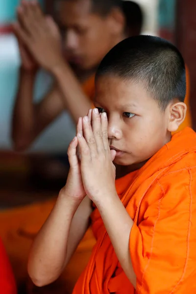 Monniken Bidden Een Boeddhistisch Klooster Kep Cambodja — Stockfoto