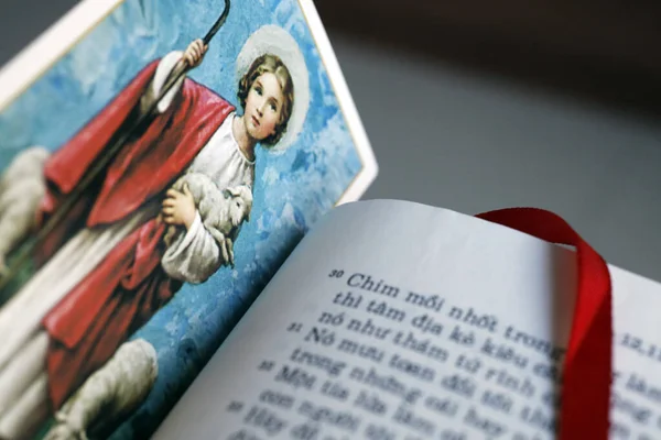 Свята Картина Ісусом Вічнозеленою Біблією Єтнам — стокове фото