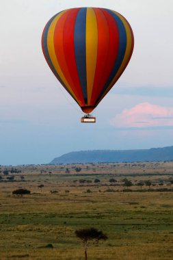 Sabah Masai Mara 'da sıcak hava balonu safarisi. Masai Mara Ulusal Parkı. Kenya. 