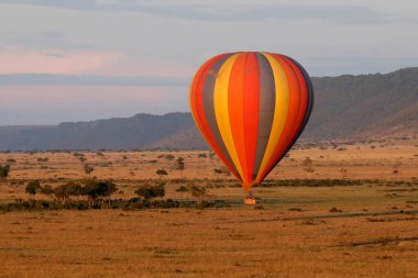 Sabah Masai Mara 'da sıcak hava balonu safarisi. Masai Mara Ulusal Parkı. Kenya. 