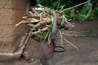 African village. Boy carrying firewood on his head.  Daily life.  Datcha-Attikpaye. Togo. 