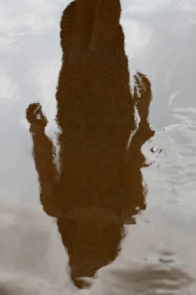 stock image Blurry reflection silhouette of a woman walking alone on the beach.  Quy Nhon. Vietnam. 