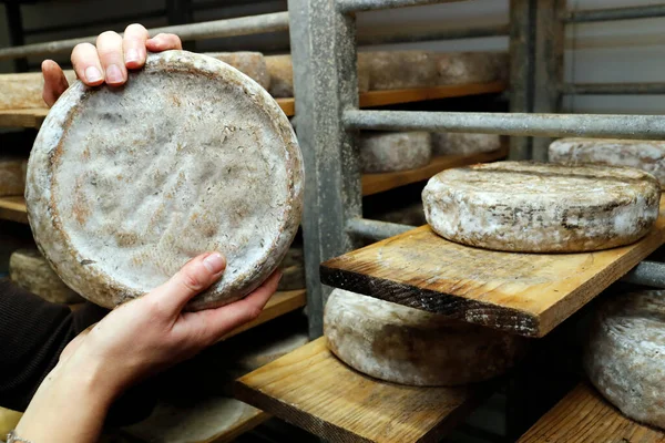 Stock image Tradional cheese maker. Tomme.   Saint Gervais les Bains. France. 