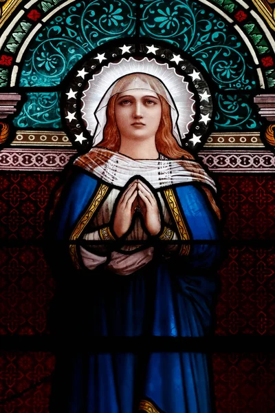 Iglesia San Francisco Sales Vidriera Virgen María Ginebra Suiza — Foto de Stock