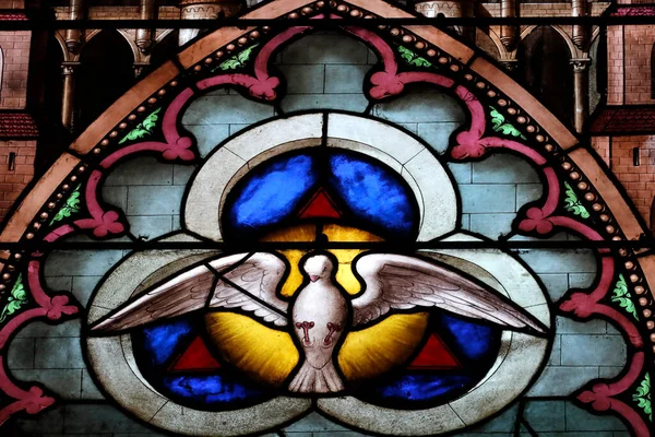 Basilique Notre Dame Genève Vitrail Colombe Saint Esprit Trompe Œil — Photo