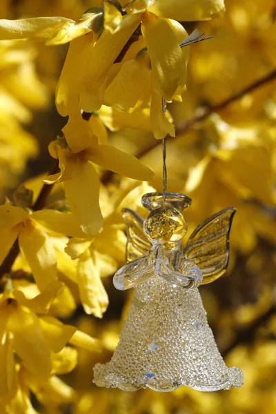 Стеклянный Ангел Дереве Весна — стоковое фото