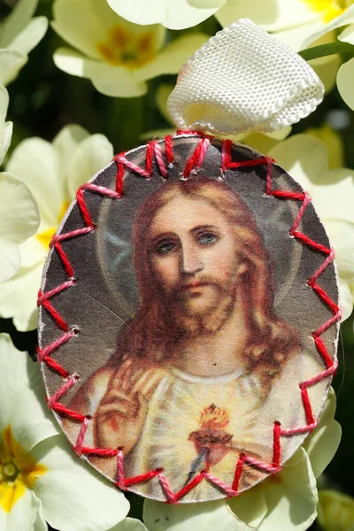 Ježíš Posvátné Srdce Medailon Barevné Jarní Květiny Primrose — Stock fotografie