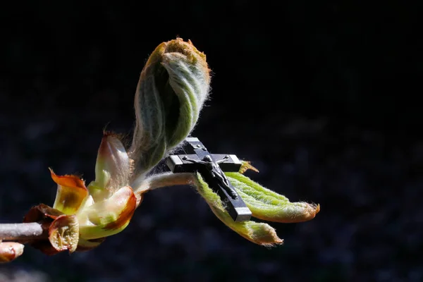 Wiosną Krucyfiks Kasztanowym Pączku — Zdjęcie stockowe