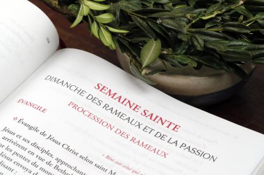 Ders kitabı ve boxwood şubesi. Kutsal hafta ve Palm Sunday kutlaması. Fransa. 