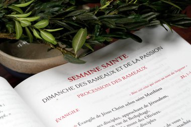 Ders kitabı ve boxwood şubesi. Kutsal hafta ve Palm Sunday kutlaması. Fransa. 