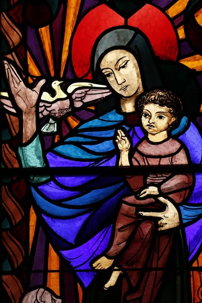 Vidro Manchado Virgem Maria Nossa Senhora Santa Esperança Basílica São — Fotografia de Stock