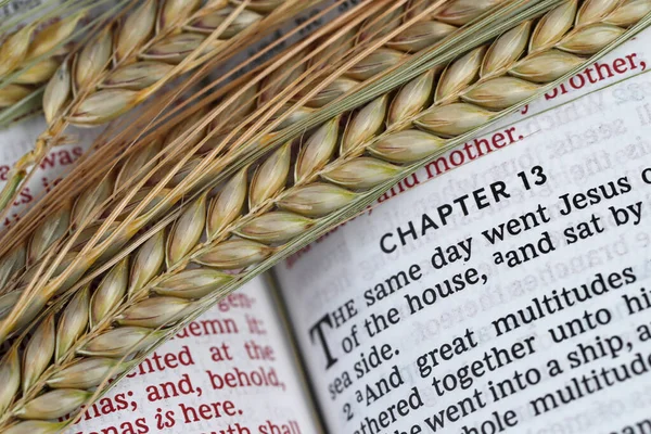 The sacred book of the Bible and ears of wheat as a symbol of spiritual and physical food.  Church symbol.