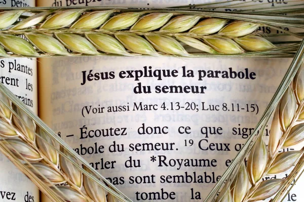 The sacred book of the Bible and ears of wheat as a symbol of spiritual and physical food.  The Parable of the Sower.  France.