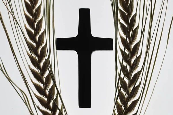 Křesťanský Kříž Pšeničné Uši Francie — Stock fotografie