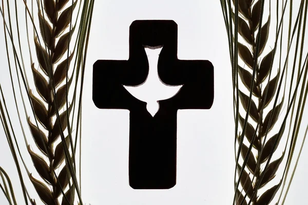 Croix Chrétienne Avec Esprit Saint Épis Blé Symbole Église — Photo