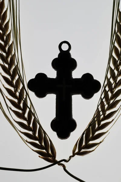 Chrześcijański Krzyż Uszy Pszenicy Symbol Kościoła — Zdjęcie stockowe