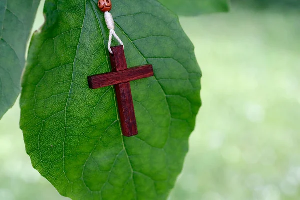 Keresztény Kereszt Zöld Falevélen Vallási Szimbólum — Stock Fotó