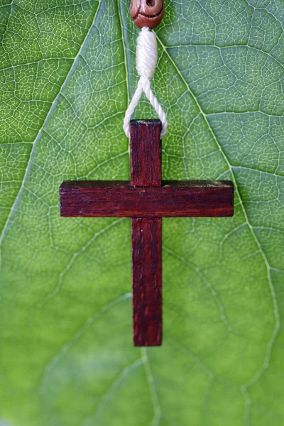 Krzyż Chrześcijański Zielonym Liściu Symbol Religijny — Zdjęcie stockowe
