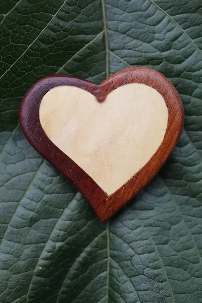 Heart Green Leaf Religious Symbol — Stock Photo, Image