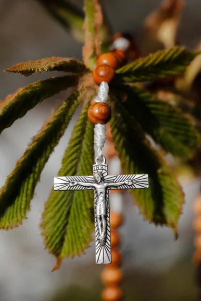 若い栗の葉にバラ 宗教的シンボル — ストック写真
