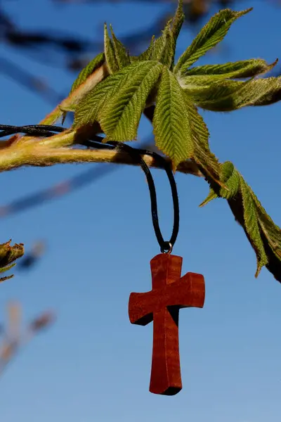 Μενταγιόν Ξύλινος Χριστιανικός Σταυρός Φύλλα Κάστανου Θρησκευτικό Σύμβολο — Φωτογραφία Αρχείου
