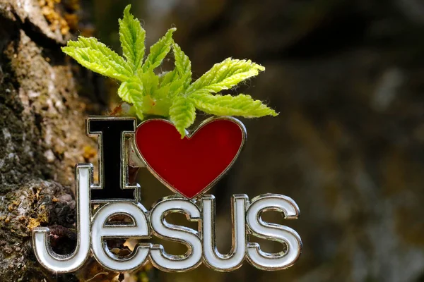 Ich Liebe Jesus Einem Baum Mit Einem Neuen Grünen Blatt — Stockfoto