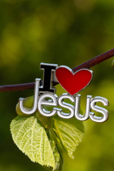 Adoro Gesù Inchiodare Albero Con Nuovo Permesso Verde Simbolo Religioso — Foto Stock