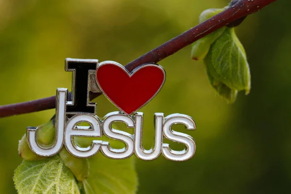 Aime Jésus Épingler Sur Arbre Avec Nouveau Congé Vert Symbole — Photo