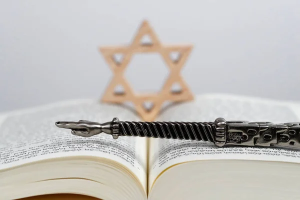 Silver Yad Jewish Ritual Pointer Jewish Star Star David Torah — Stock Photo, Image